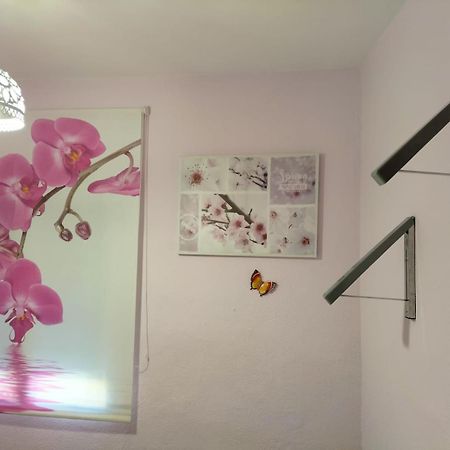 쿠엥카 La Casita De Ana. Puerta Valencia. Casco Antiguo 빌라 외부 사진